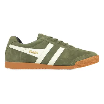 Gola Harrier Suede Zelená