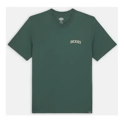 Dickies ELLISTON TEE SS Zelená