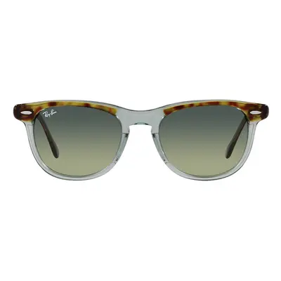 Ray-ban Occhiali da Sole Eagleeye RB2398 1376BH Hnědá