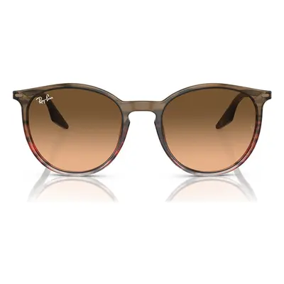 Ray-ban Occhiali da Sole RB2204 13953B Hnědá