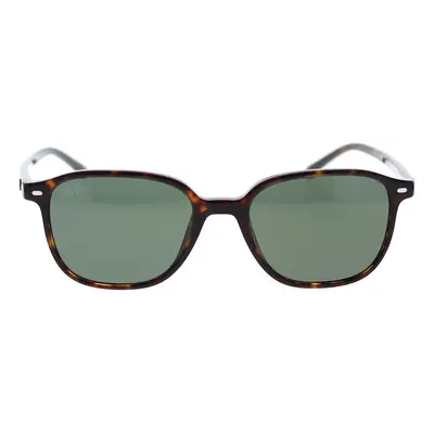 Ray-ban Occhiali da Sole Leonard RB2193 902/31 Hnědá