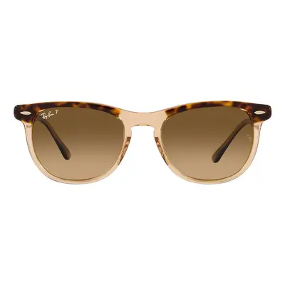 Ray-ban Occhiali da Sole Eagleeye RB2398 1292M2 Polarizzati Hnědá