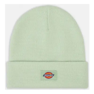 Dickies Gibsland beanie Zelená