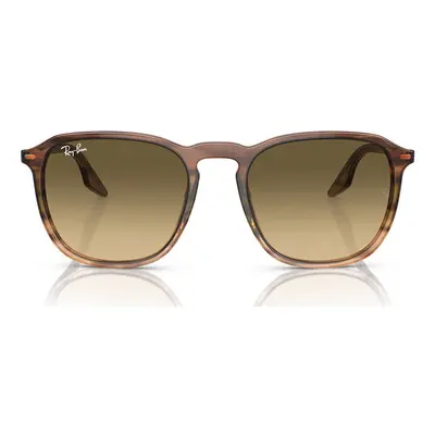 Ray-ban Occhiali da Sole RB2203 13920A Hnědá