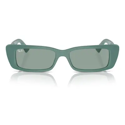 Ray-ban Occhiali da Sole Teru RB4425 676282 Zelená