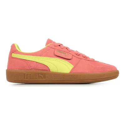 Puma Palermo