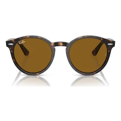 Ray-ban Occhiali da Sole Larry RB7680S 902/33 Hnědá