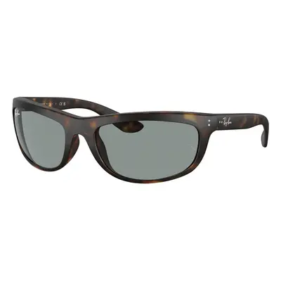 Ray-ban Occhiali da Sole Balorama RB4089 894/56 Hnědá