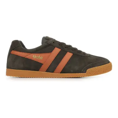 Gola Harrier Suede Hnědá