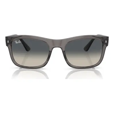 Ray-ban Occhiali da Sole RB4428 667571 Šedá