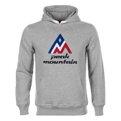 Peak Mountain Sweat à capuche homme CODRIVER Šedá