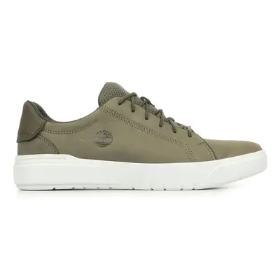 Timberland Seneca Bay Low Lace Sneaker Zelená