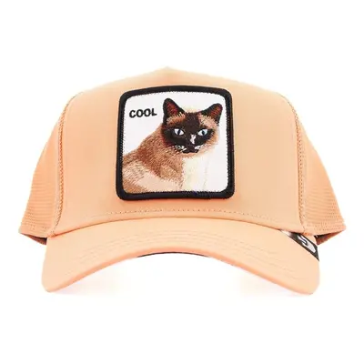 Goorin Bros COOL CAT Oranžová