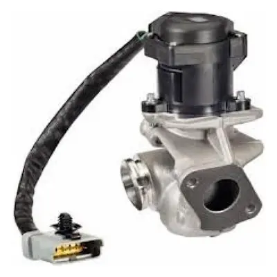 EGR Ventil pro Focus