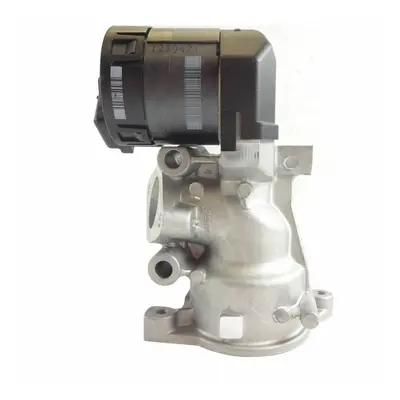 EGR Ventil pro 2.0 TDCi