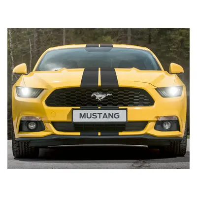 Černé matné pruhy pro Ford Mustang