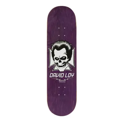 Birdhouse - Loy Skull 8.38" - deska