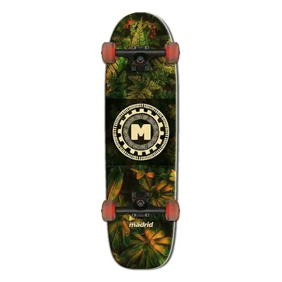 Madrid - Grub Terrestrial 29,5" - longboard