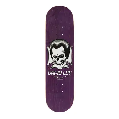 Birdhouse - Loy Skull 8.38" - deska