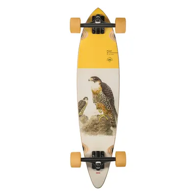 Globe - Pintail 34" Falcon - longboard