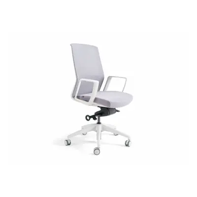 Kancelářská ergonomická židle BESTUHL J17 WHITE — více barev Šedá