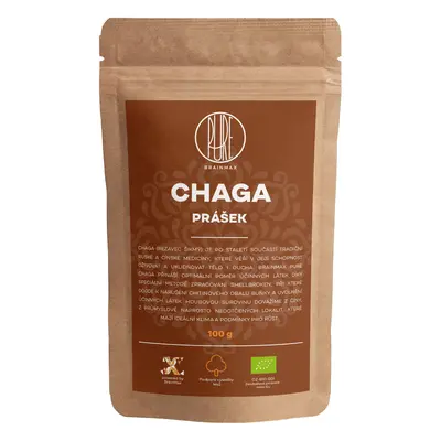 BrainMax Pure Chaga prášek, BIO