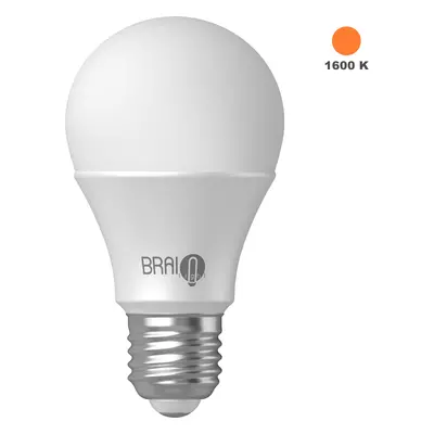 Žárovka BrainLight Amber Bulb, E27, 7 W, 1600 K