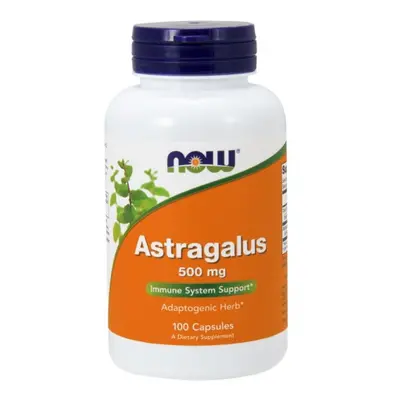 Now® Foods NOW Astragalus (Kozinec), 500 mg, 100 kapslí