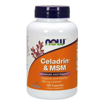 Now® Foods NOW Celadrin a MSM 500 mg, 120 kapslí