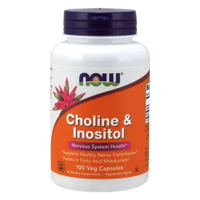 Now® Foods NOW Cholin & Inositol, 500 mg, 100 rostlinných kapslí