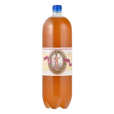 STEVIKOM - Kombucha černá, 2l