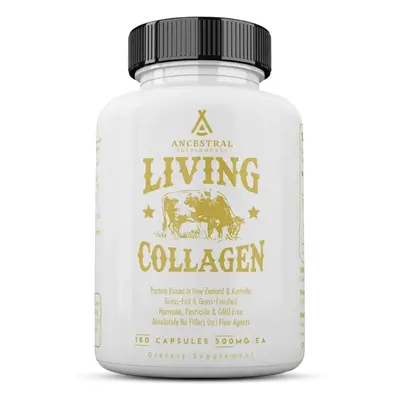 Ancestral Supplements Ancestral Supplements, Grass-fed Beef Collagen, hovězí Grass-fed kolagen, 