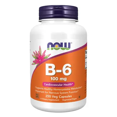 Now® Foods NOW Vitamin B6 Pyridoxin, 100 mg, 250 kapslí