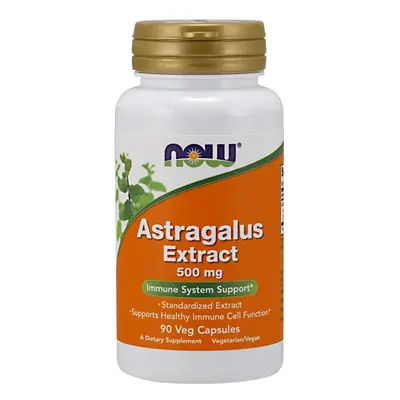 Now® Foods NOW Astragalus Extrakt (Kozinec), 500 mg, 90 veg. kapslí