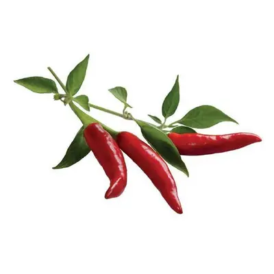 Click and Grow chilli papričky kapsle se semínky a substrátem 3ks