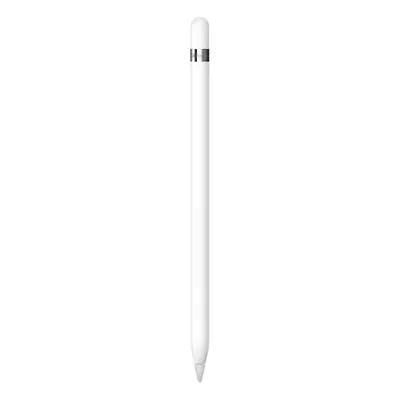 Apple Pencil MQLY3ZM/A Bílá