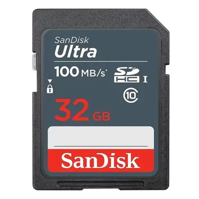 SanDisk SDSDUNR-032G-GN3IN Šedá