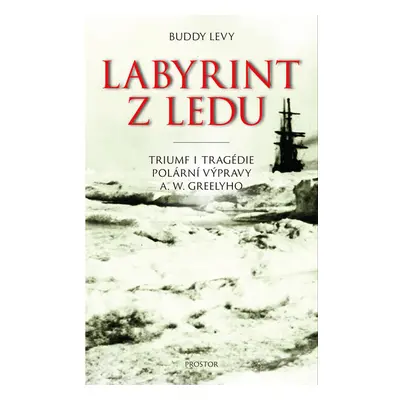 Labyrint z ledu