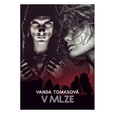 V mlze