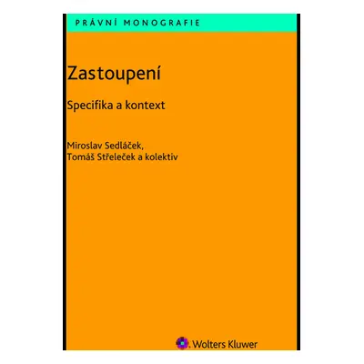 Zastoupení - Specifika a kontext