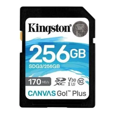 Kingston SDXC Class 10 256GB SDG3/256GB