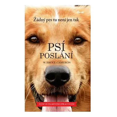 Psí poslání