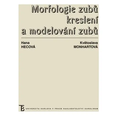 Morfologie zubů. Kreslení a modelování zubů