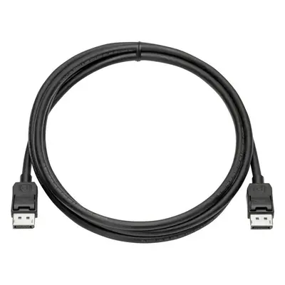 HP DisplayPort Cable kit