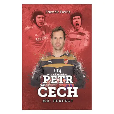 Petr Čech: Mr. Perfect