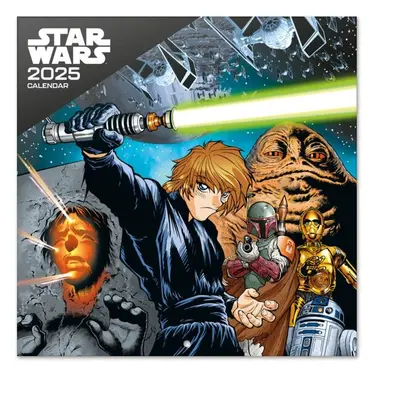 CurePink Oficiální nástěnný Star Wars Classic Graphic s plakátem SQ 30 x 30|60 cm [CP25009] 2025