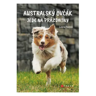 Australský ovčák jede na prázdniny