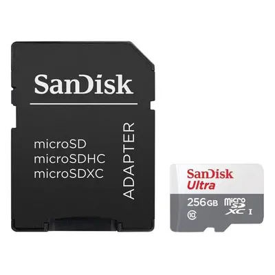 SanDisk SDSQUNR-256G-GN6TA