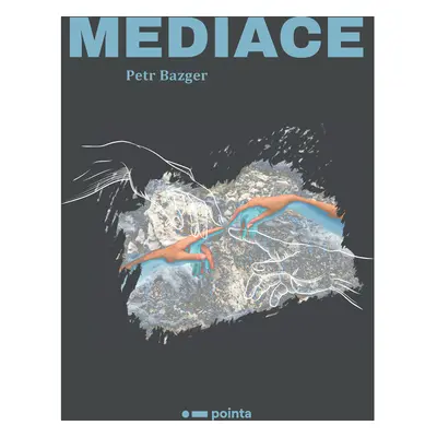 Mediace