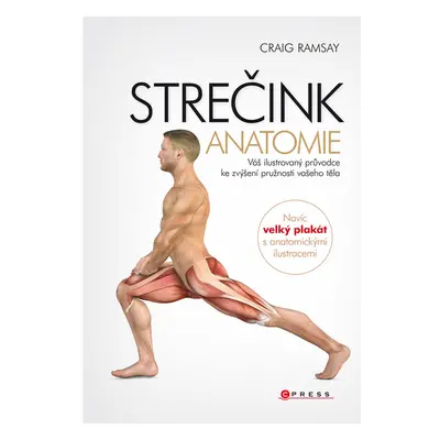 Strečink - anatomie